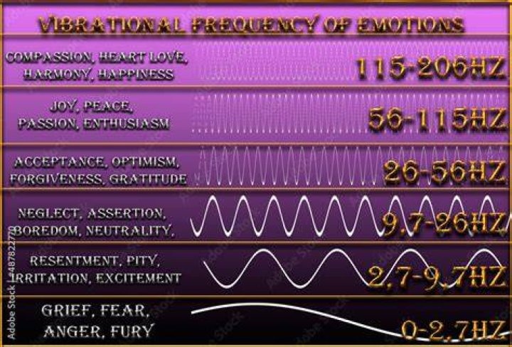 What is the vibrational frequency of fear?