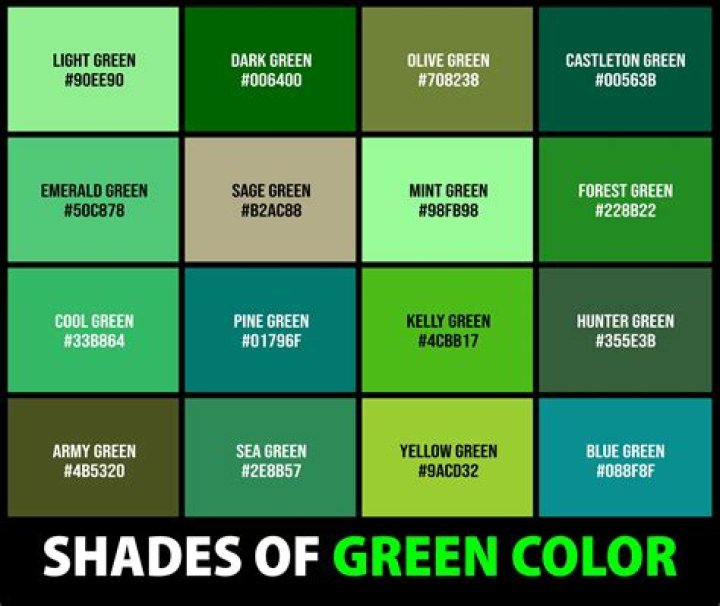 What is there to do at Shades of Green?