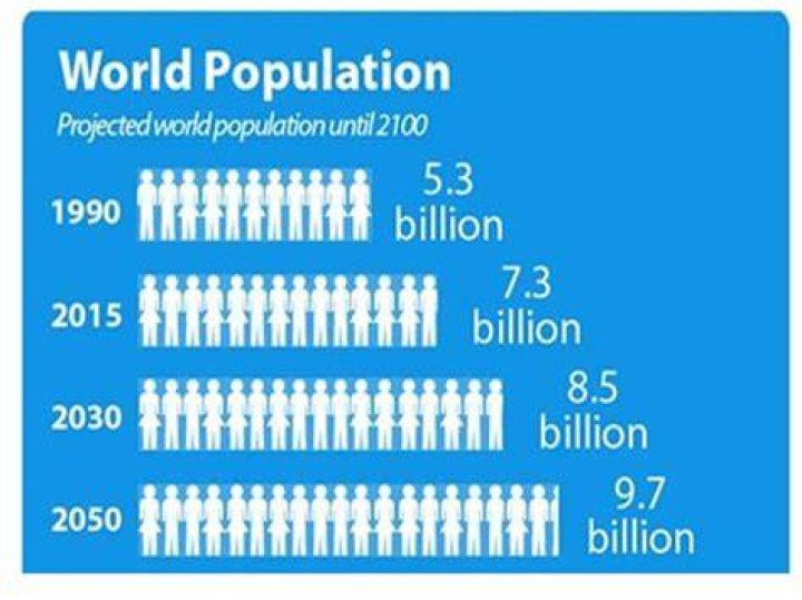 What MMO has the highest population?