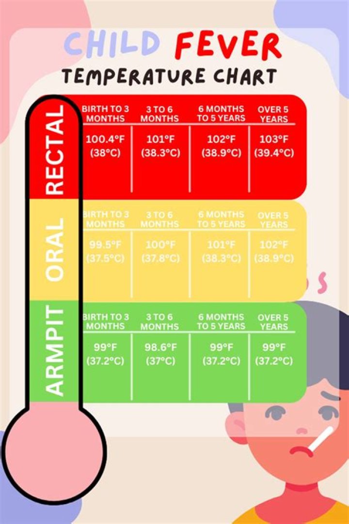 What should I do if my 2 year old has a fever of 102?