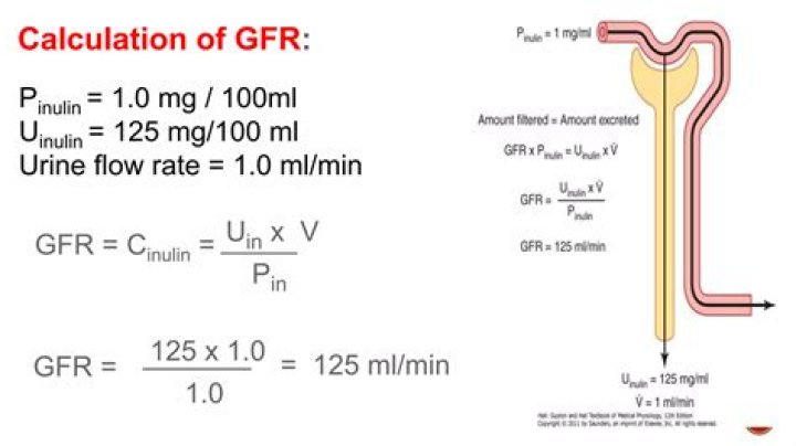 What units is GFR measured in?