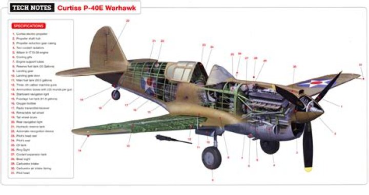 What was the armament of the P-40 Warhawk?
