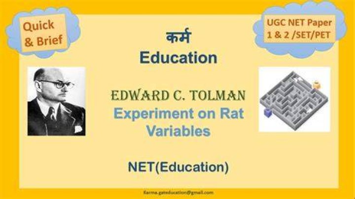 What were the 3 variables in the lab rat experiment?