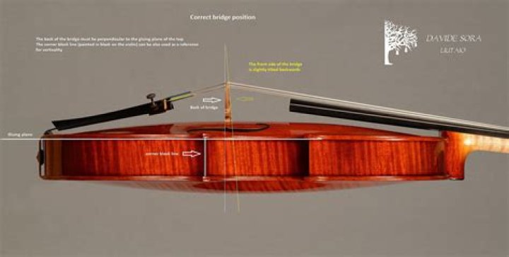 Where do you position the bridge on a violin?