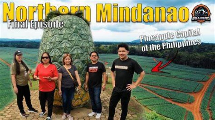 Where is Dole pineapple Philippines located?