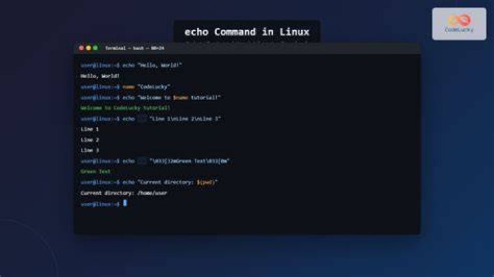 Where is the command history stored in Linux?