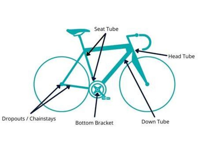 Where is the frame number on a Cinelli bike?