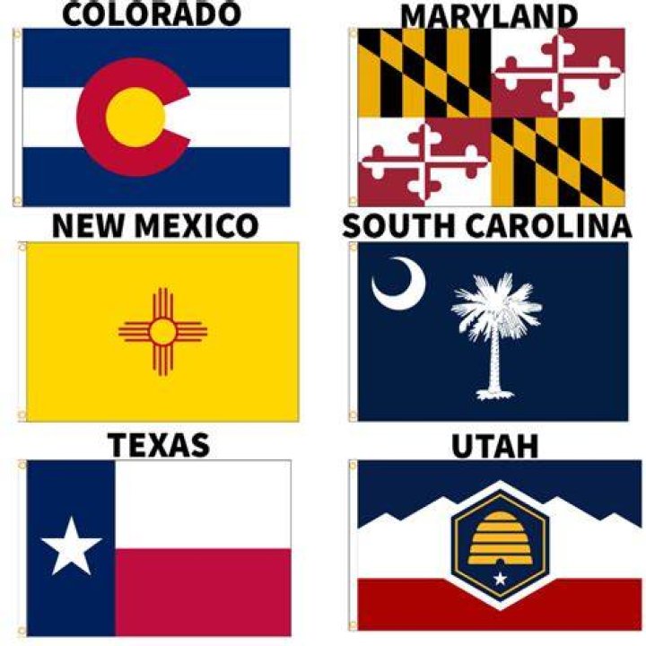 Which US state flag is the best?