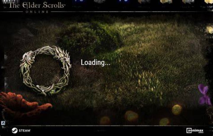 Why is ESO stuck on loading screen?